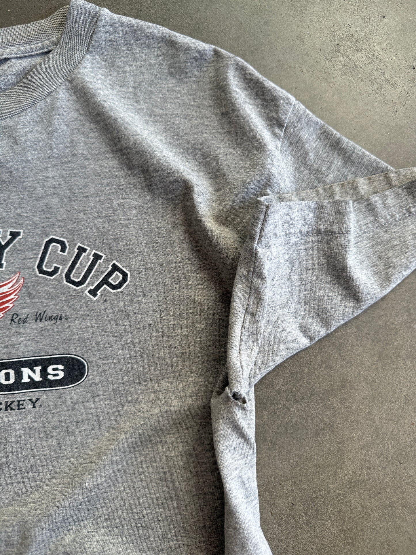 (M) Red Wings 2002 Stanley Cup Tee