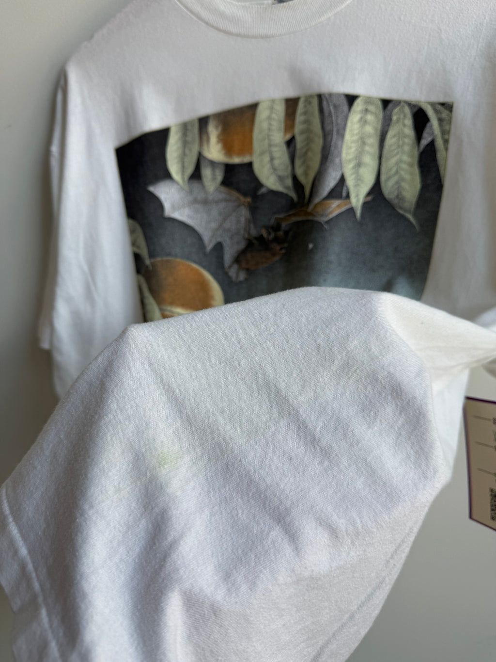 (XL) Little Brown Bat Tee