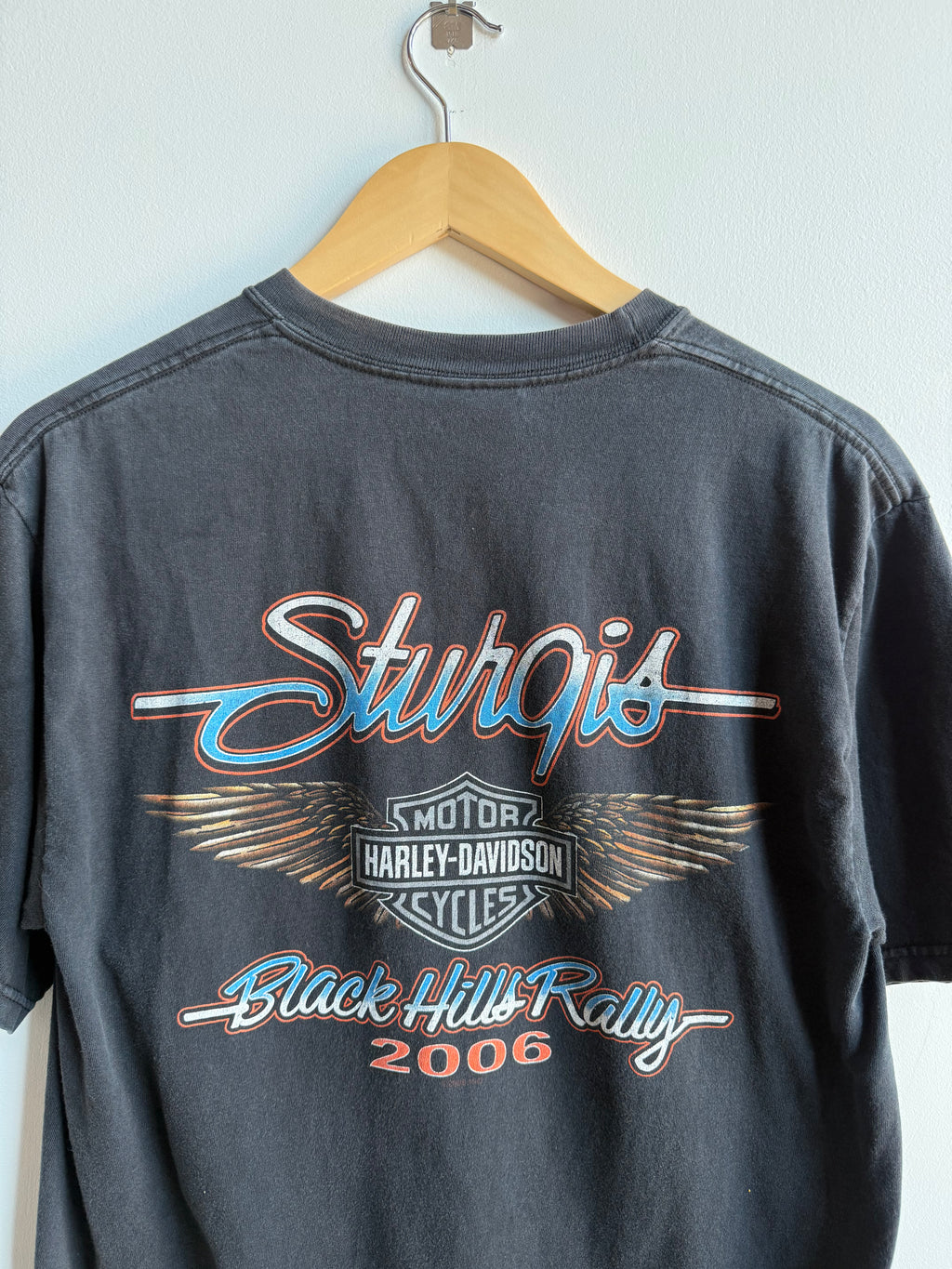 (M) Harley Davidson Sturgis Tee