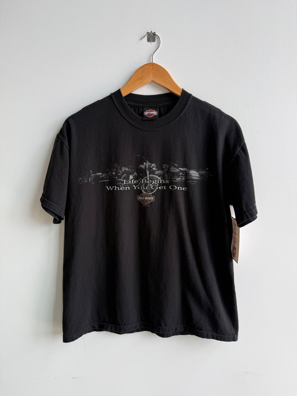 (M) Harley Davidson Cedar River Tee
