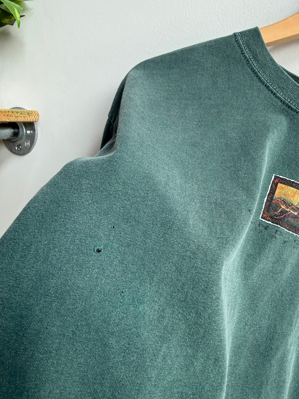 (L) Grand Canyon Tee