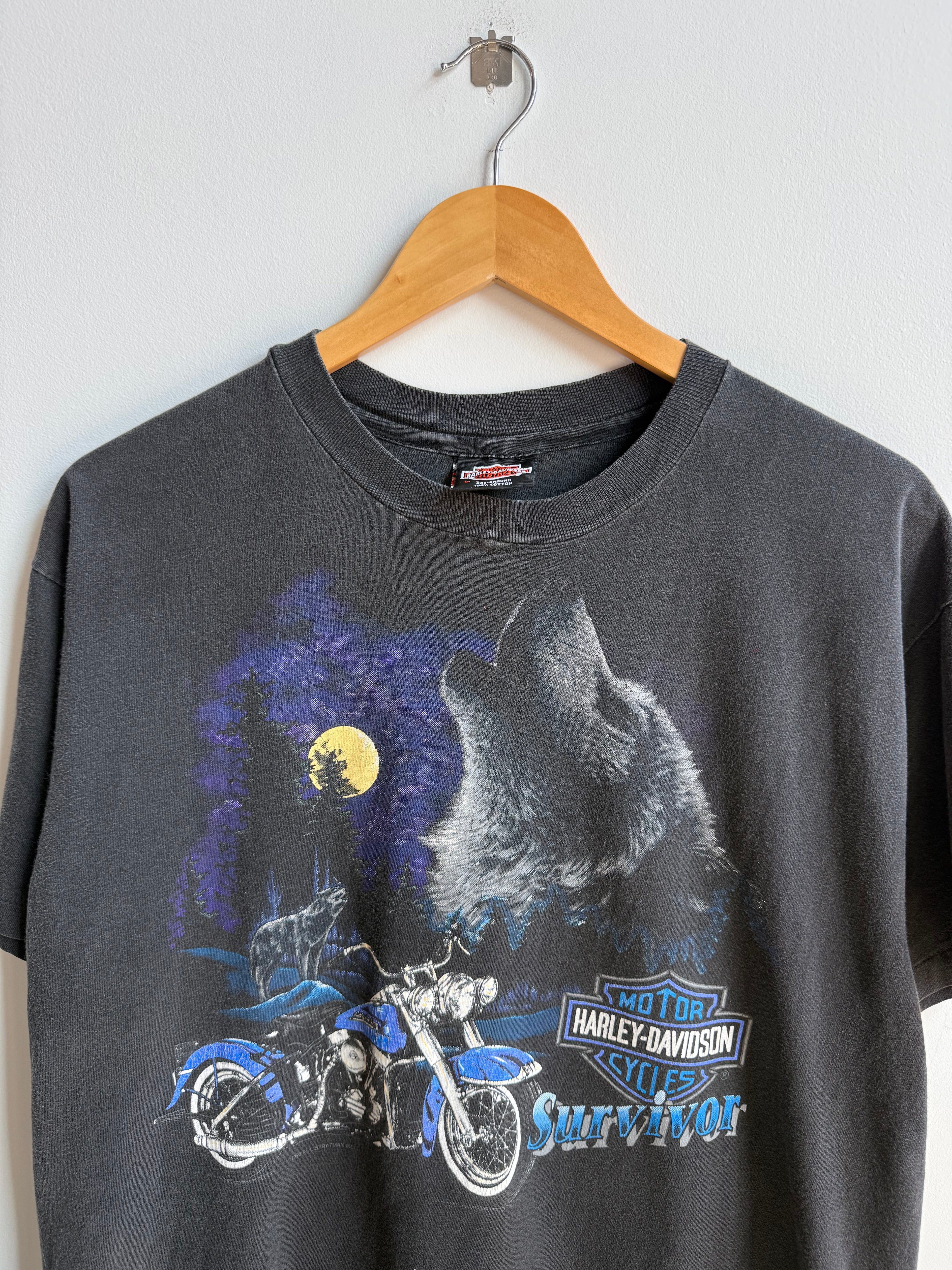 (L) Harley Davidson Lisle Tee