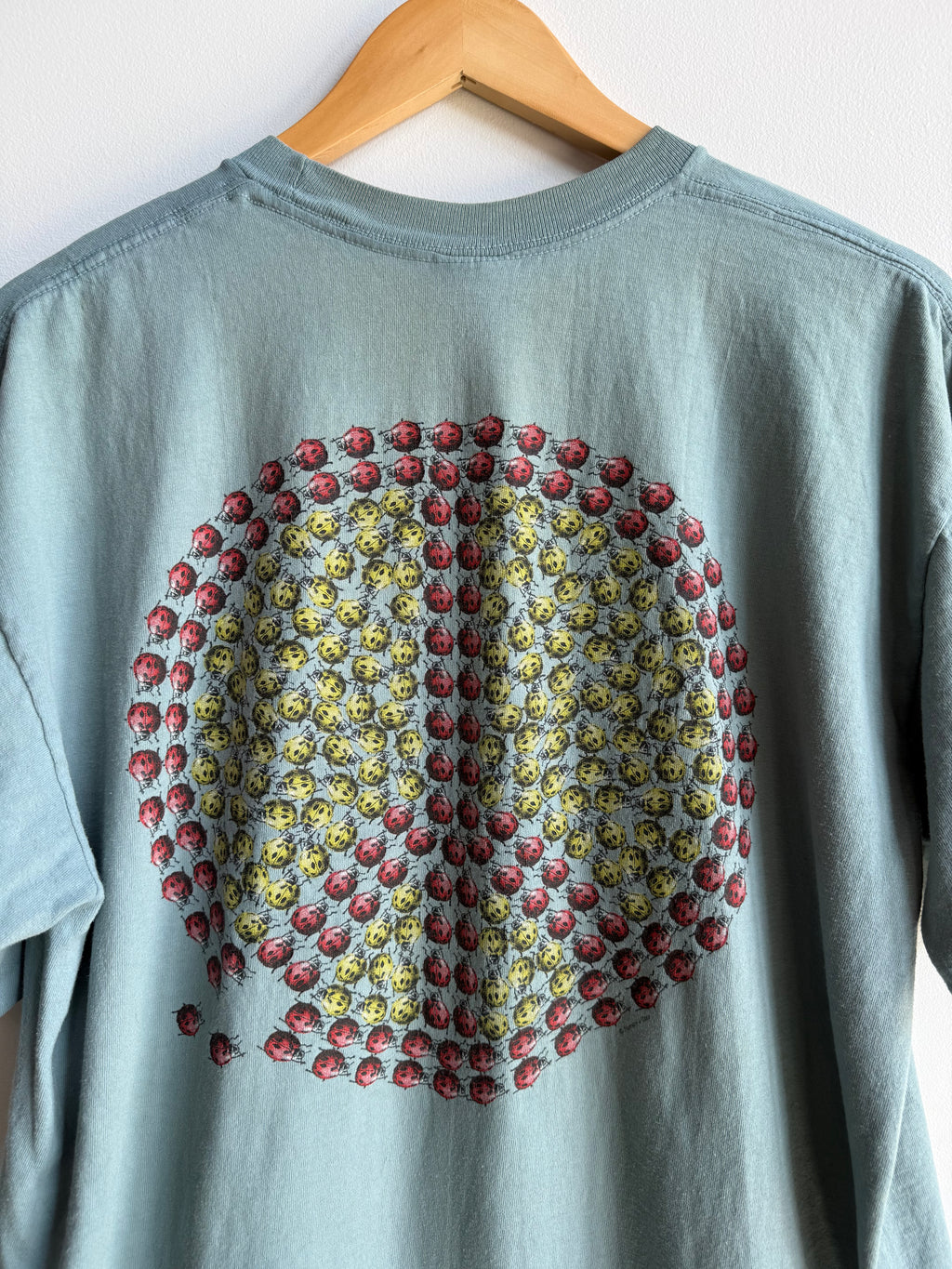 (XL) Ladybug Tee