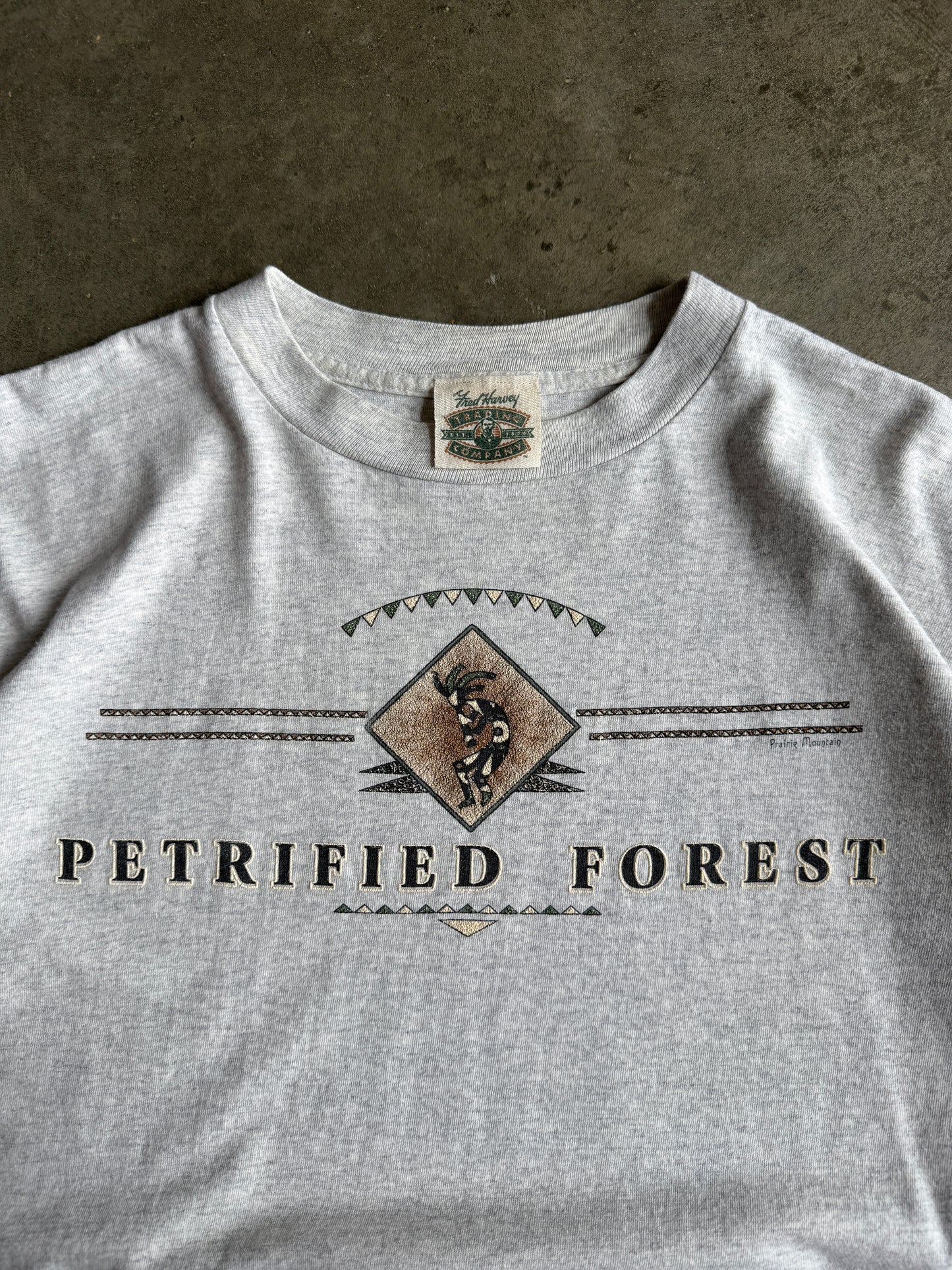 (L) Petrified Forest Tee