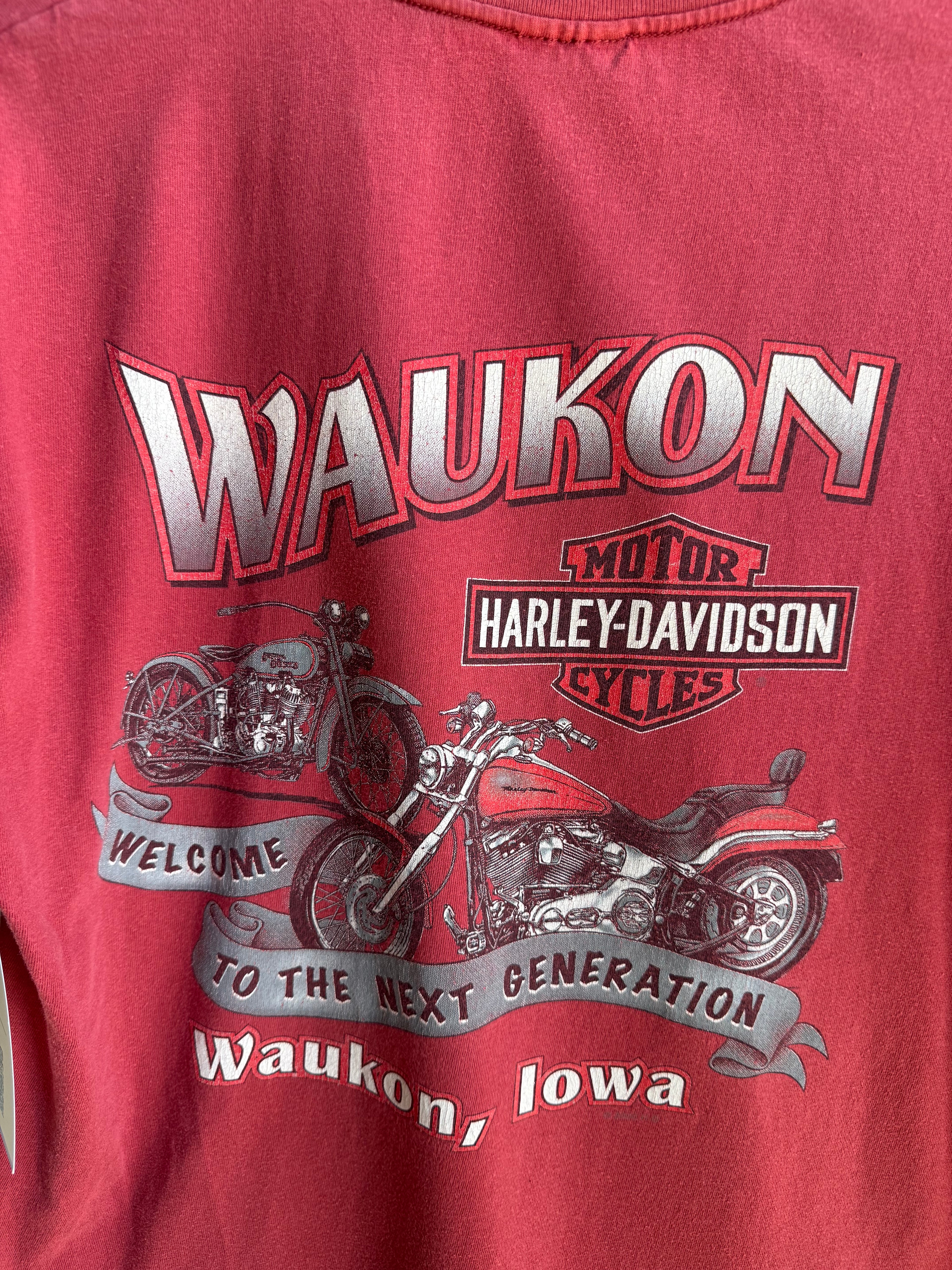 (L) Harley Davidson Waukon Tee