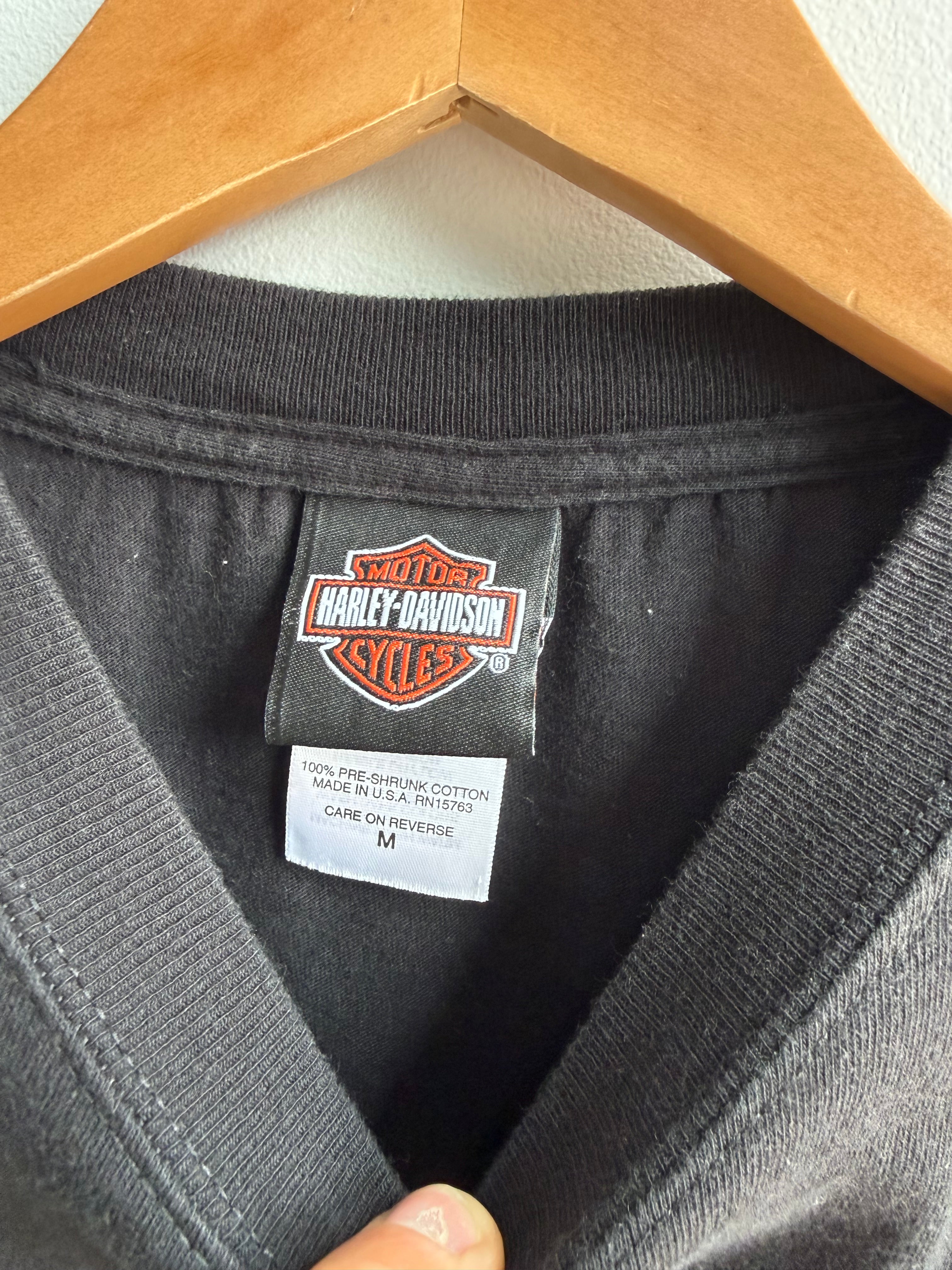 (M) Harley Davidson Cedar River Tee