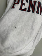 (S) Penn University Reverse Weave Crew