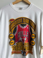 (XL) Bulls Greatest Team Ever Tee
