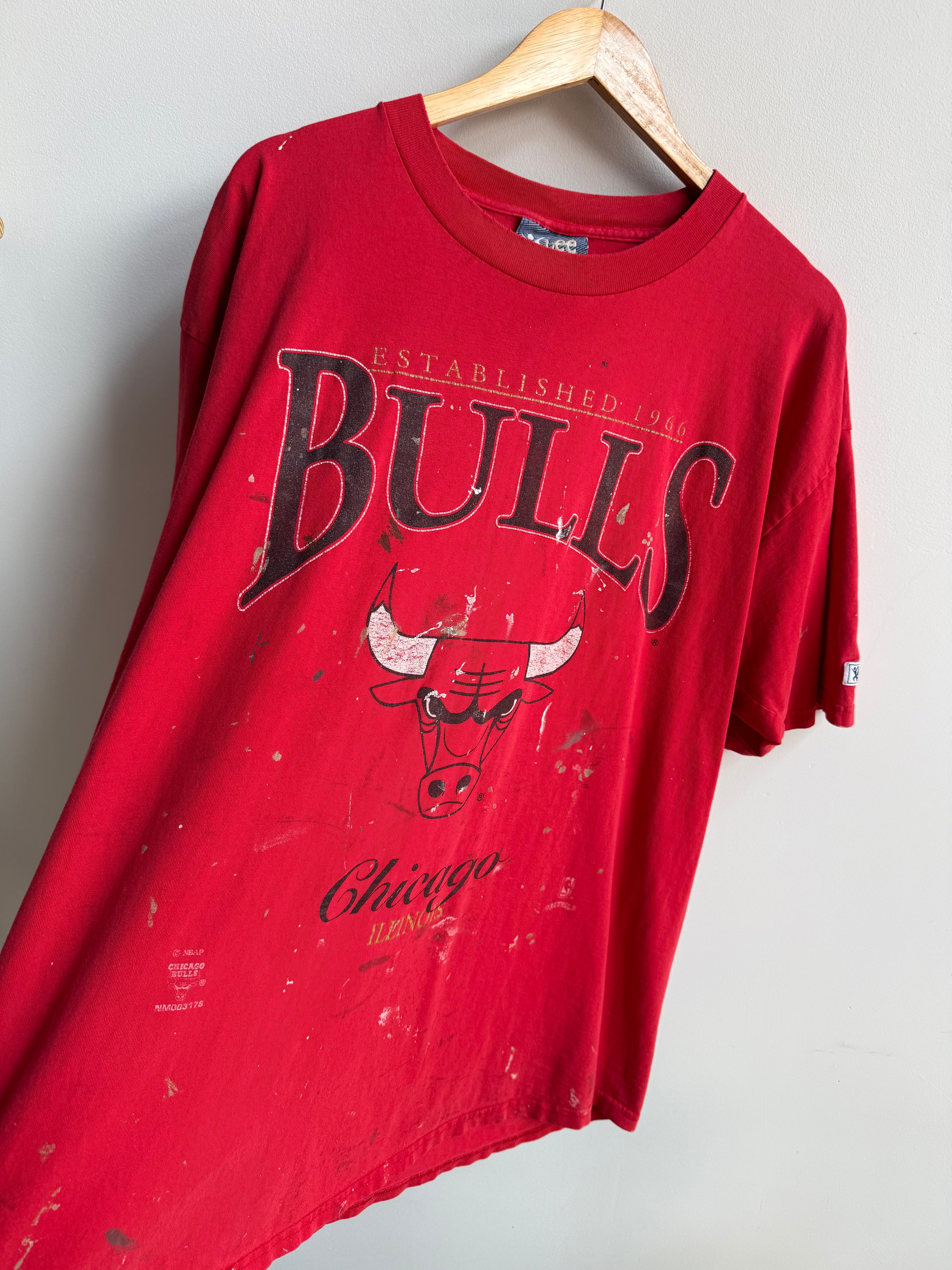 (XXL) Chicago Bulls Painter Tee