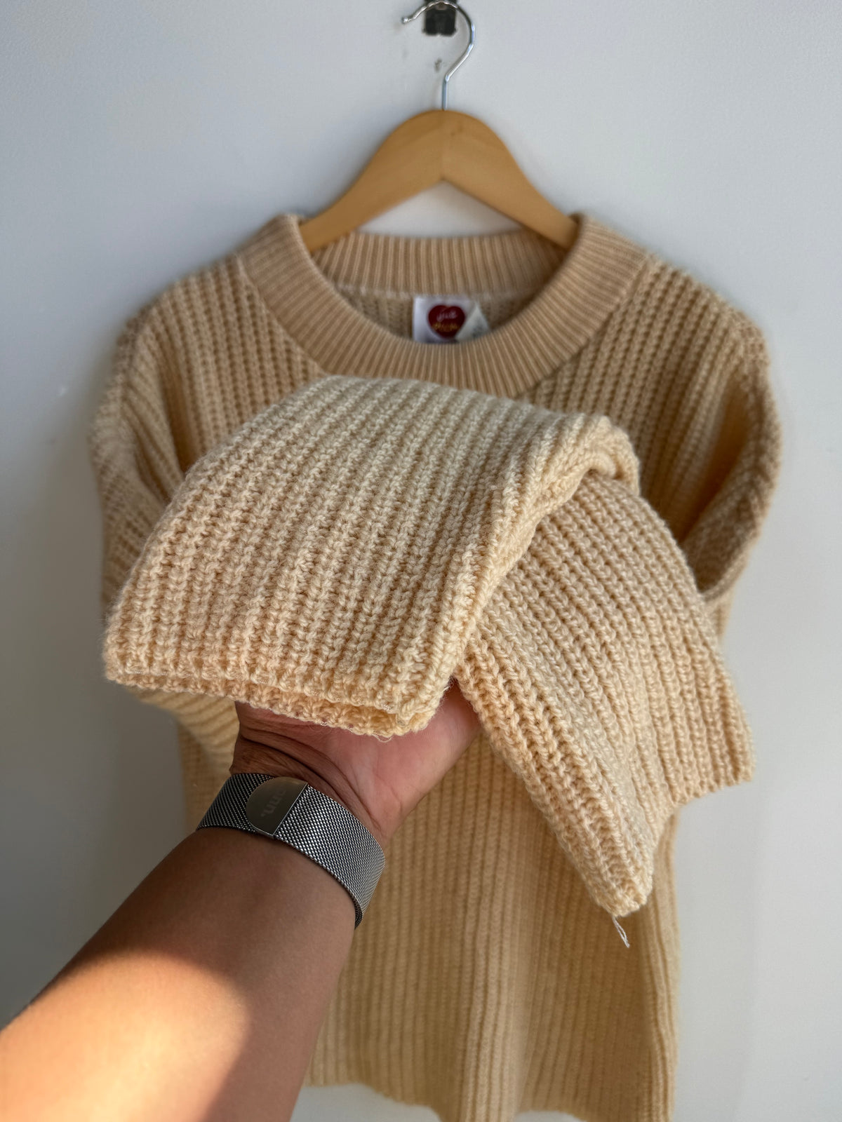 (L) Im a Plum Sweater
