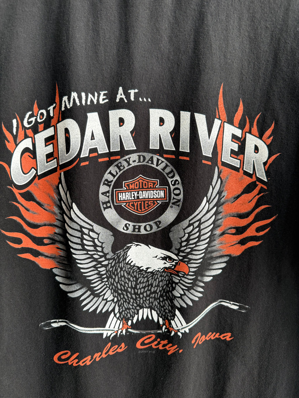 (M) Harley Davidson Cedar River Tee