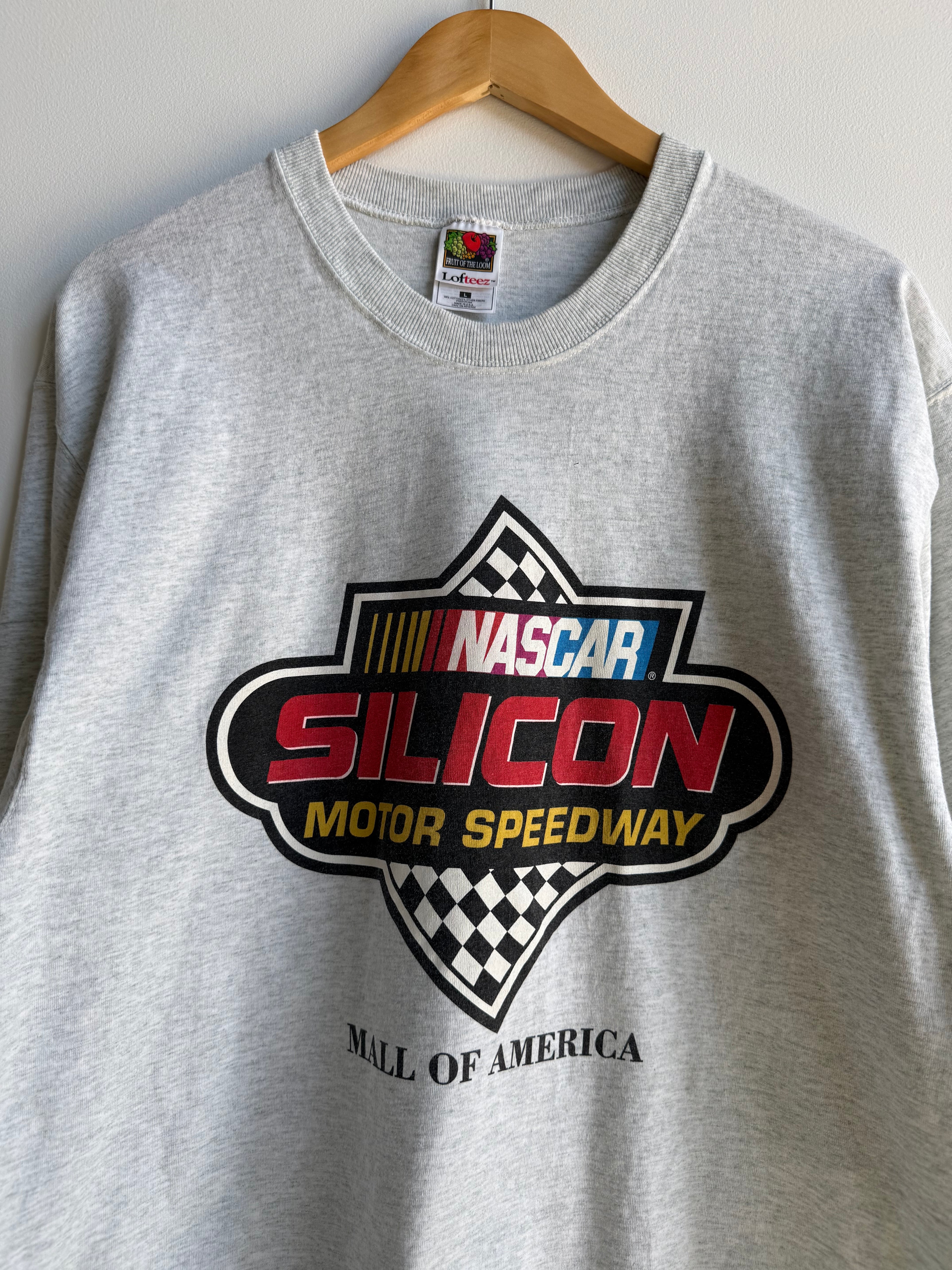 (L) NASCAR Silicon Speedway