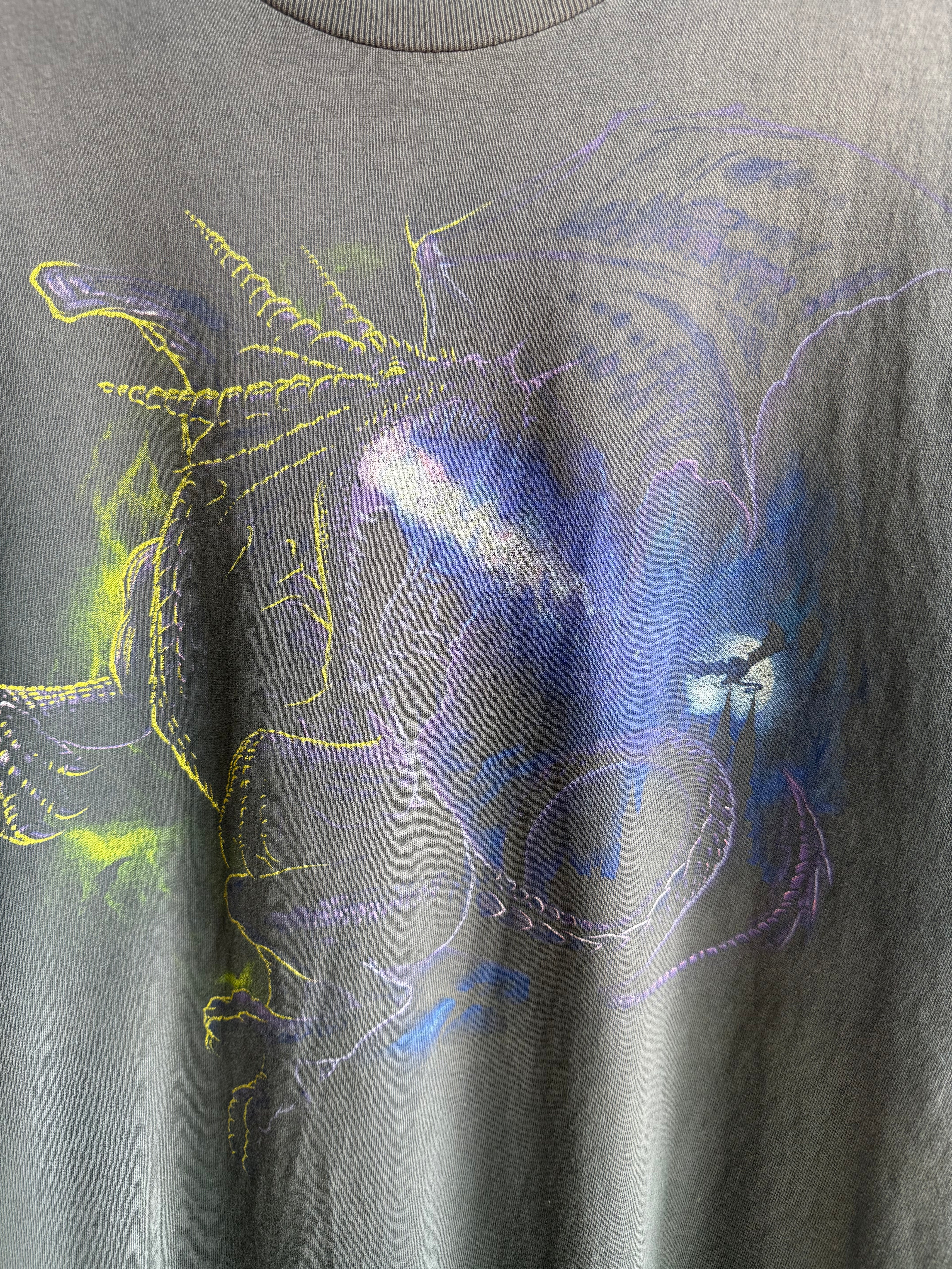 (L) Dragon Faded Tee