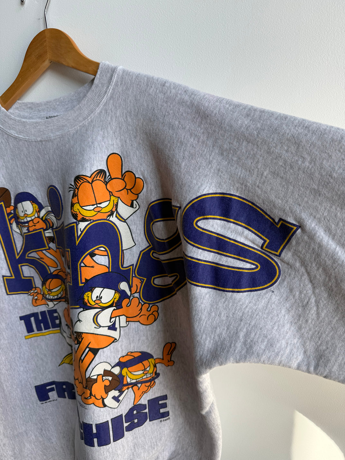(XL) Minnesota Vikings Garfield Spell Out Crew