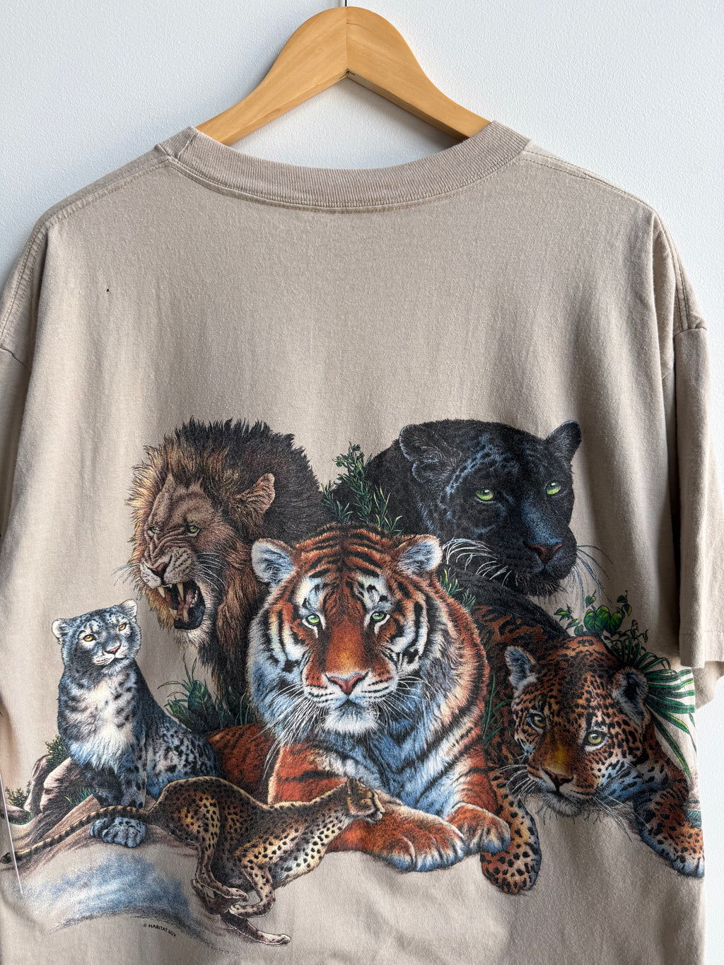 (XL) Big Cats Zoo Tee