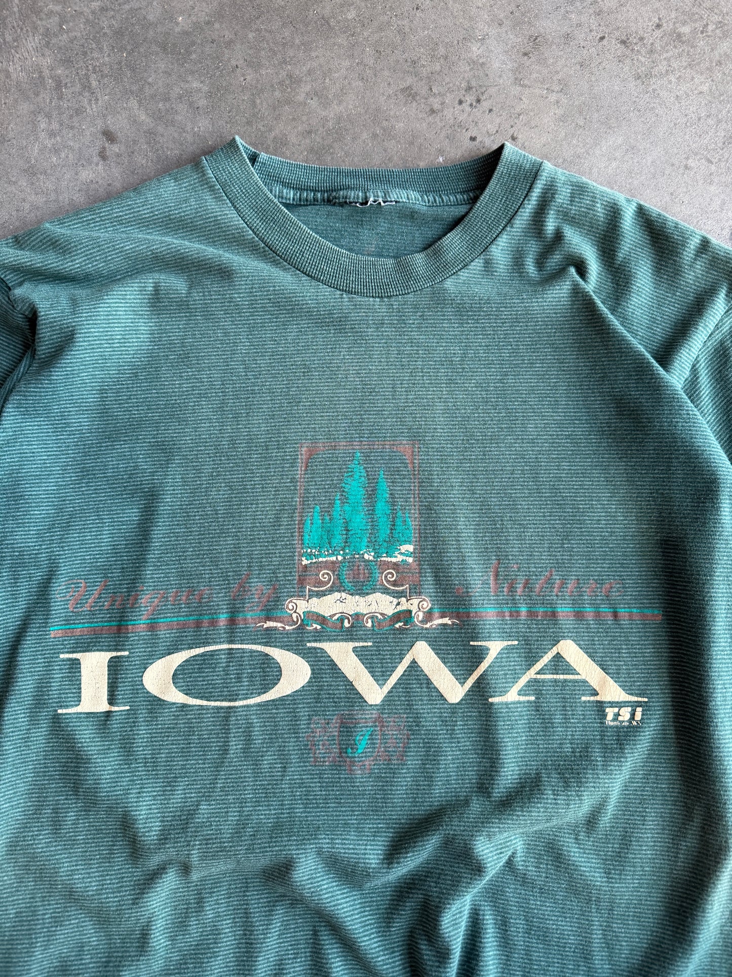 (L) Iowa Nature Tee