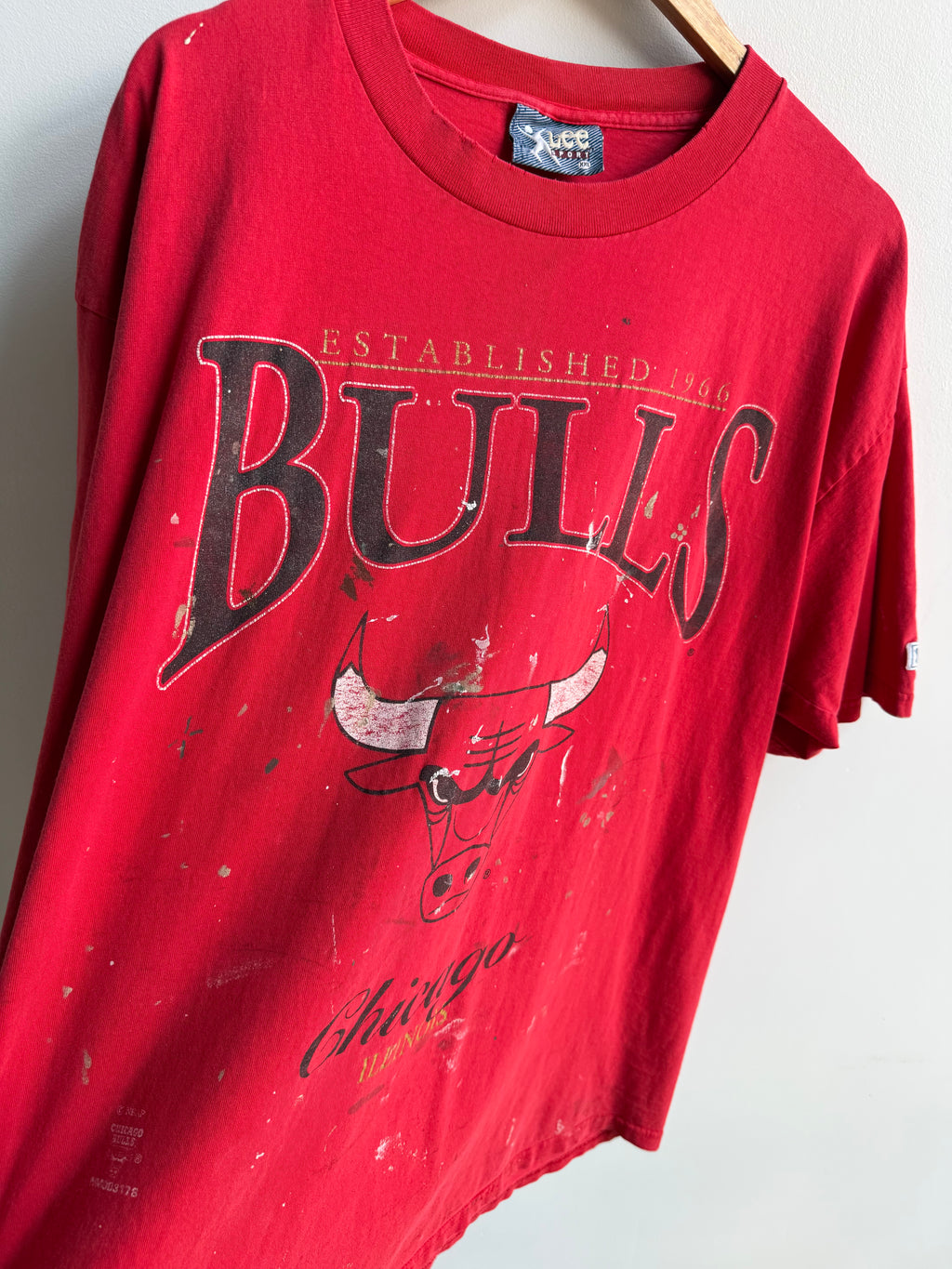 (XXL) Chicago Bulls Painter Tee