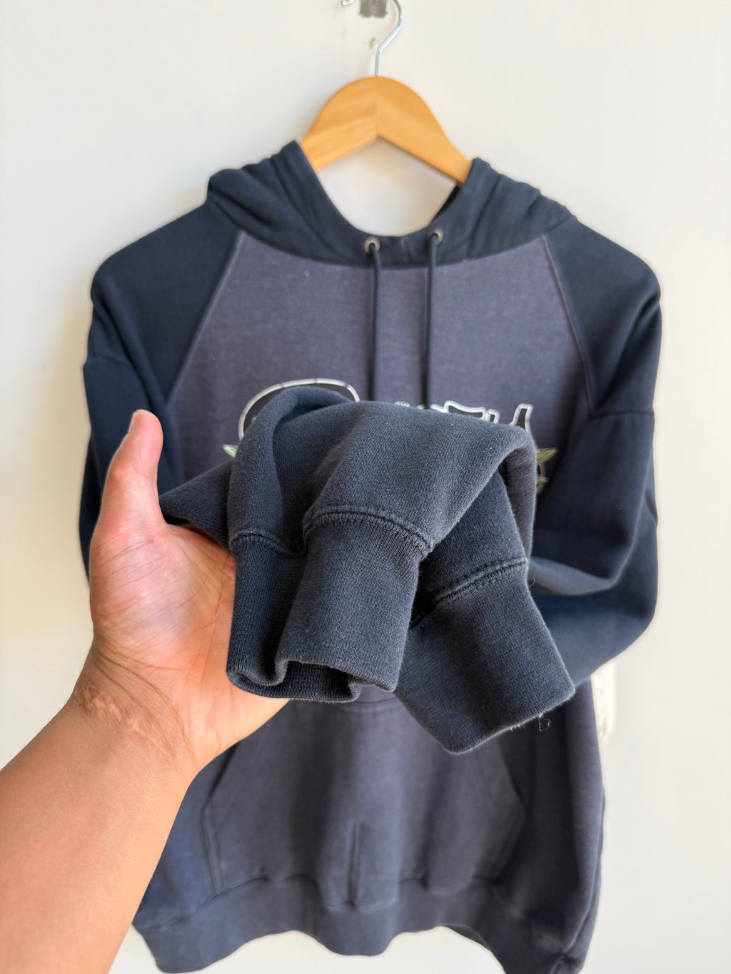 (M) Rusty Hoodie