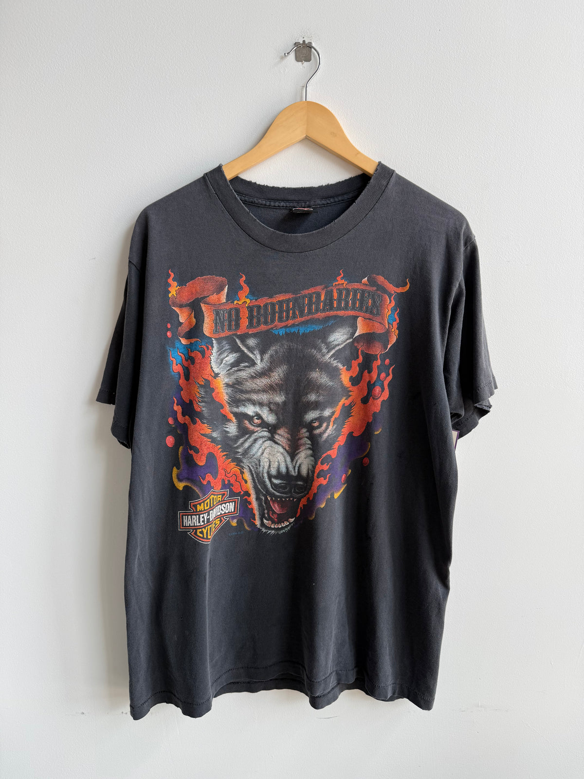 (L) Harley Davidson Palatine Tee