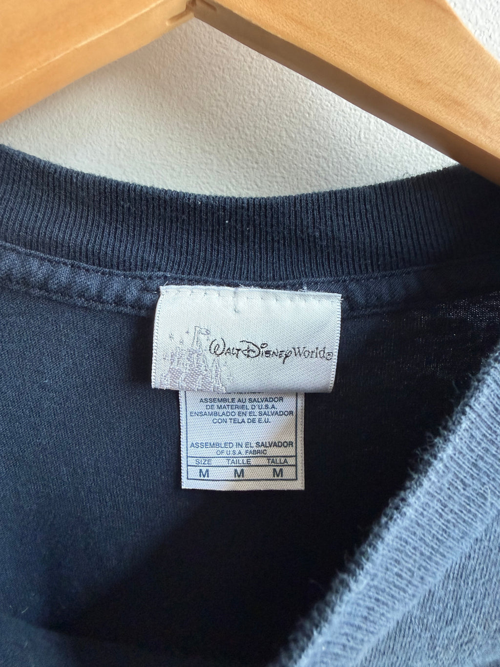 (M) Walt Disney World Flag Tee