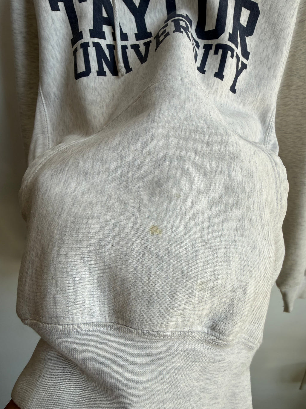 (S) Taylor University Hoodie