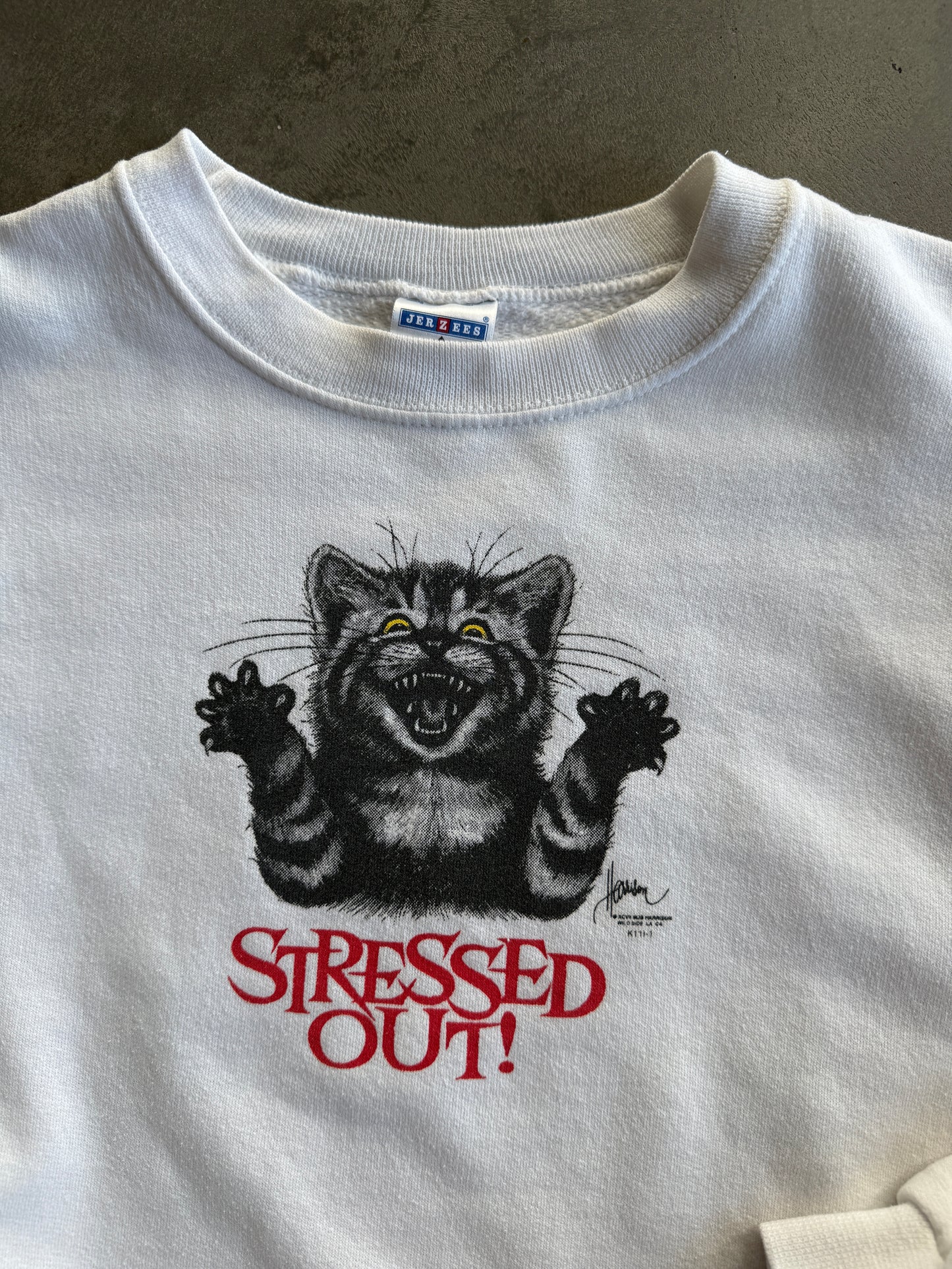 (L) Stressed Out Cat Crew
