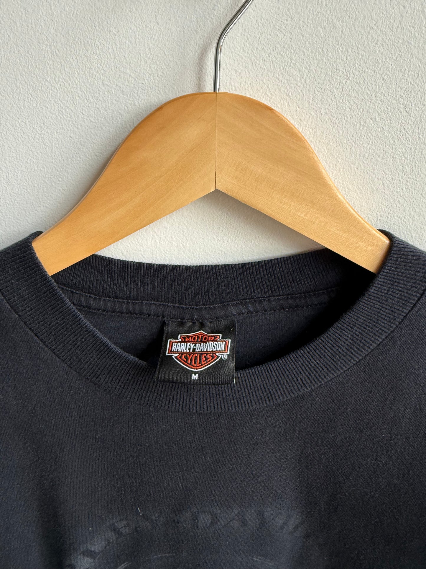 (M) Harley Davidson L/S Tee