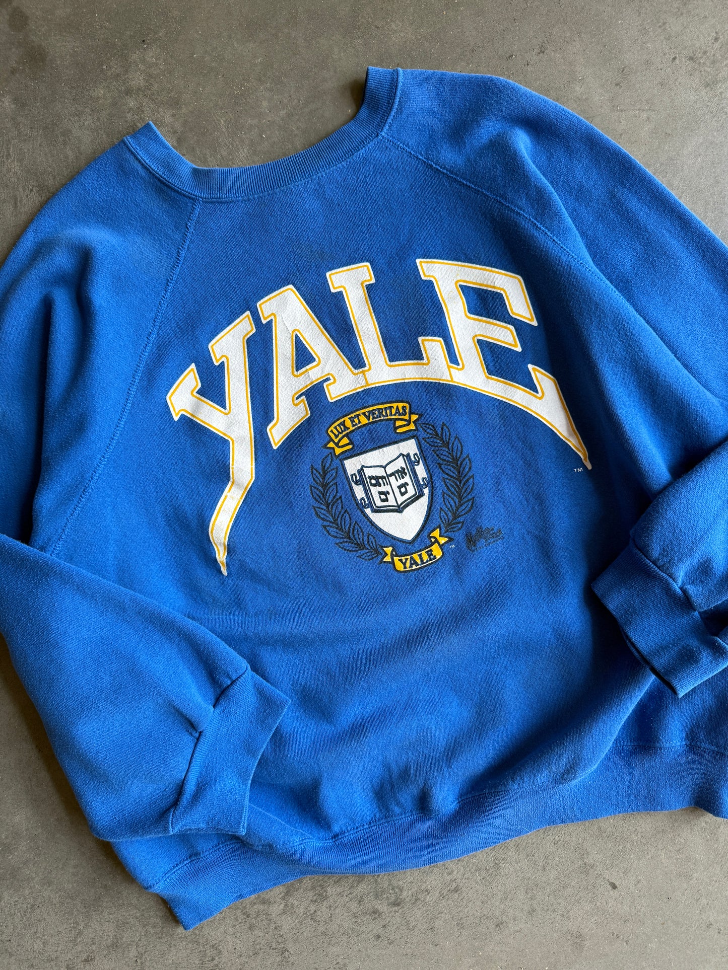 (XXL) Yale Crew
