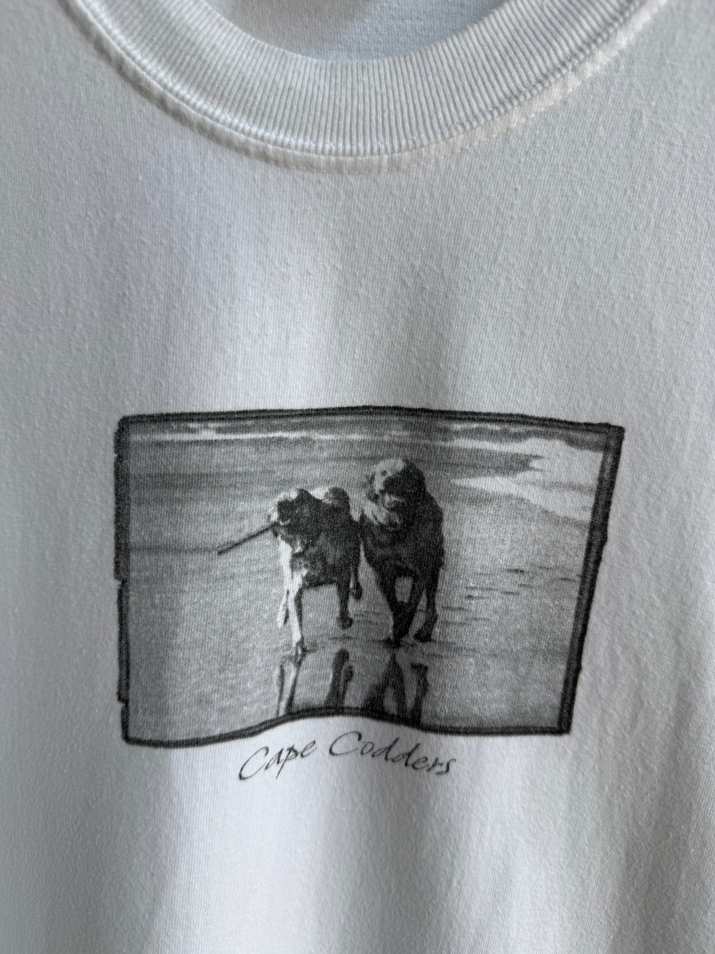 (XL) Cape Codders Dog Tee