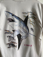 (L) Cancun Shark Tee