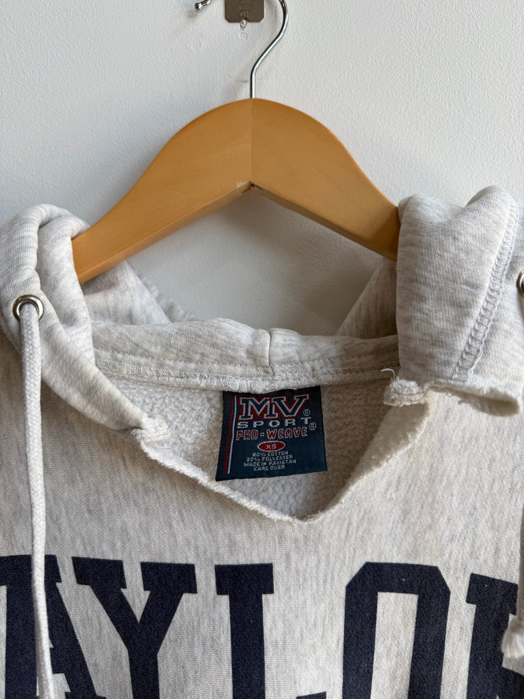 (S) Taylor University Hoodie
