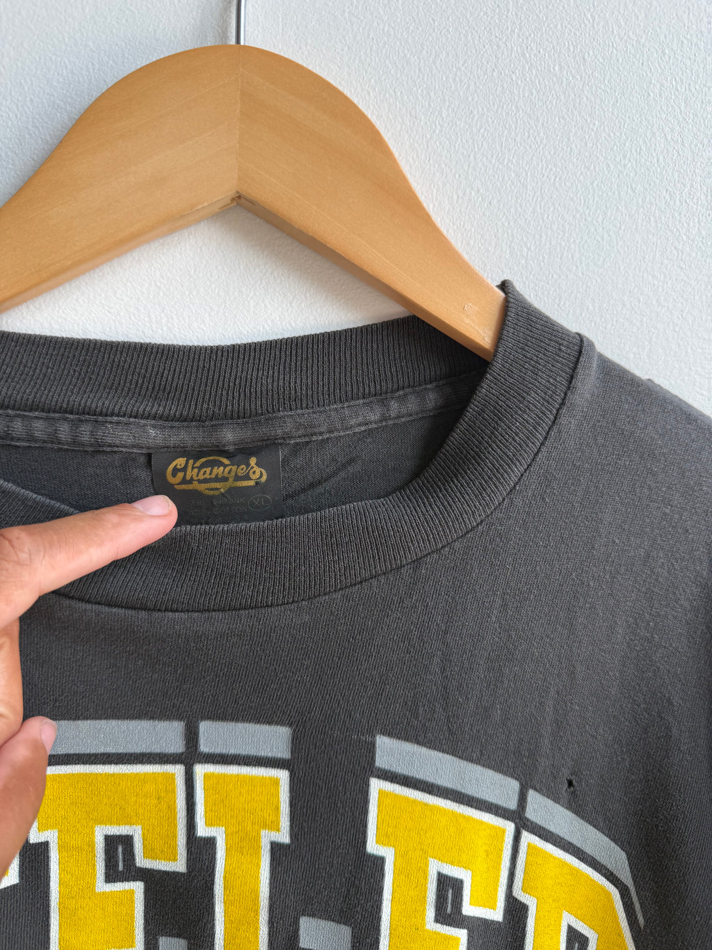 (L) Pittsburgh Steelers Taz Tee