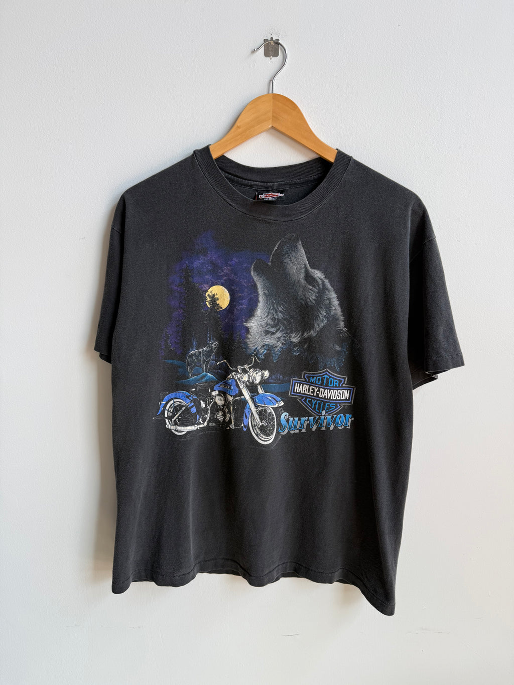 (L) Harley Davidson Lisle Tee