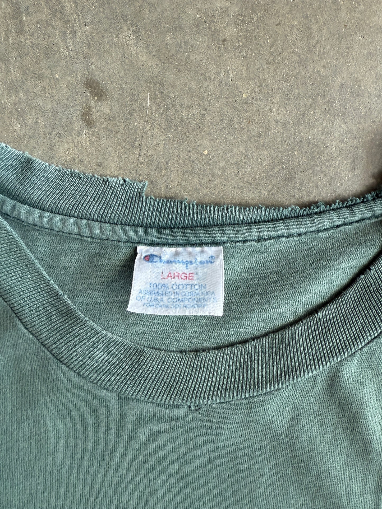 (L) Green Bay Packers Titletown Tee