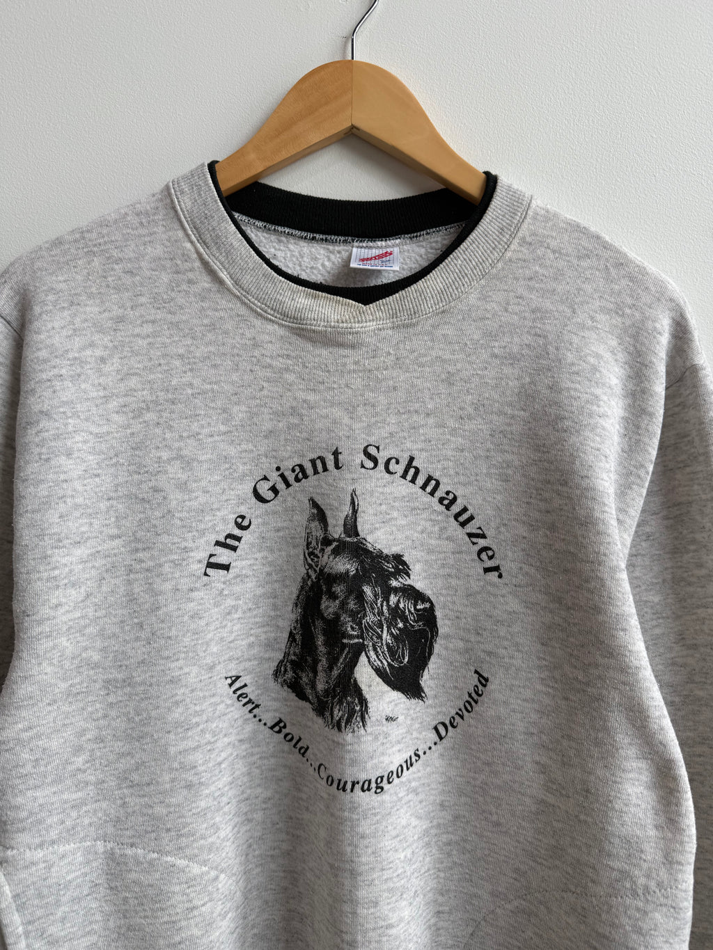 (L) Giant Schnauzer Crew