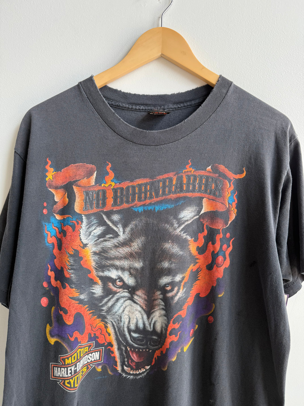 (L) Harley Davidson Palatine Tee