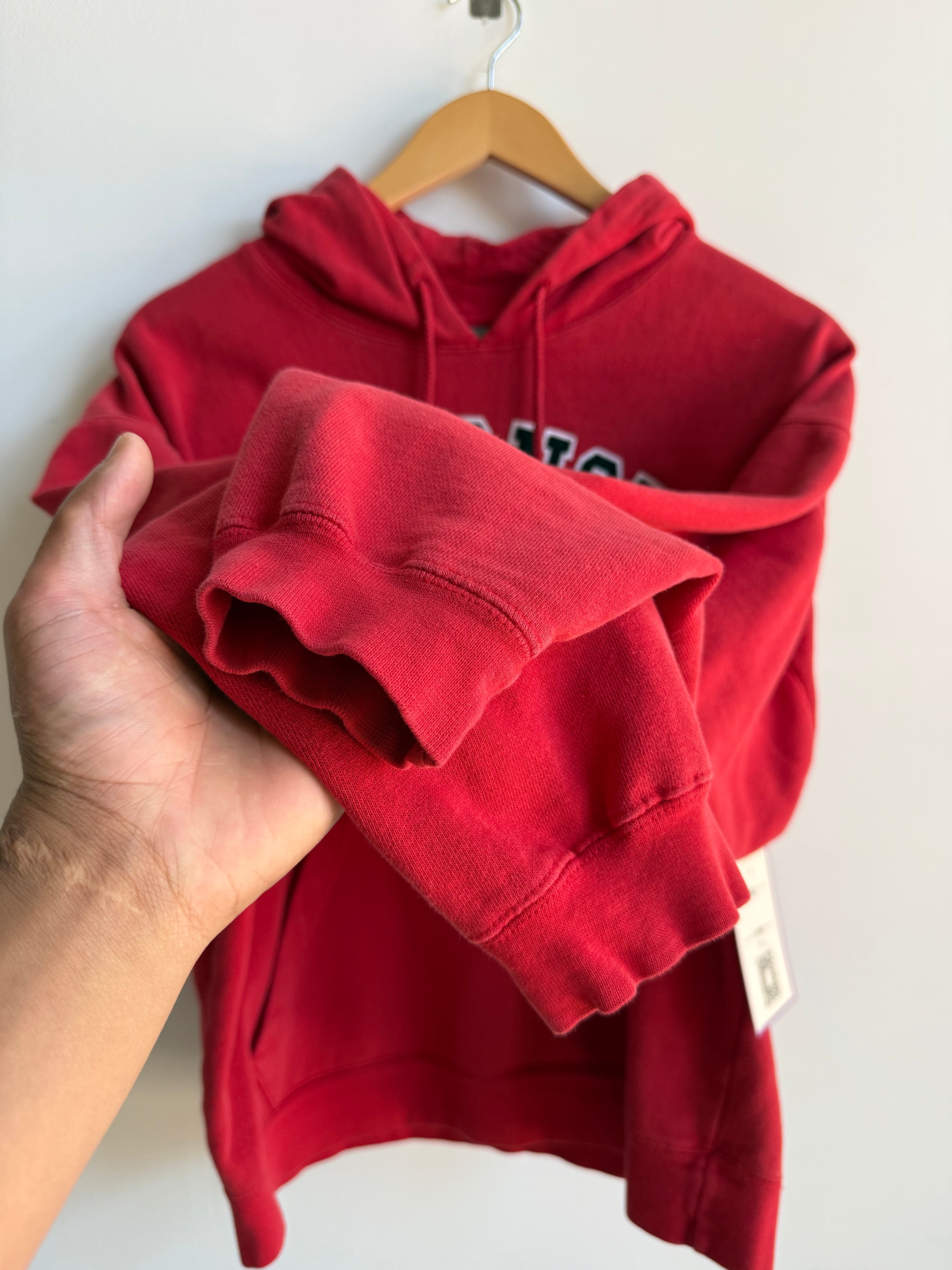 (M) Wisconsin Badgers Hockey Hoodie