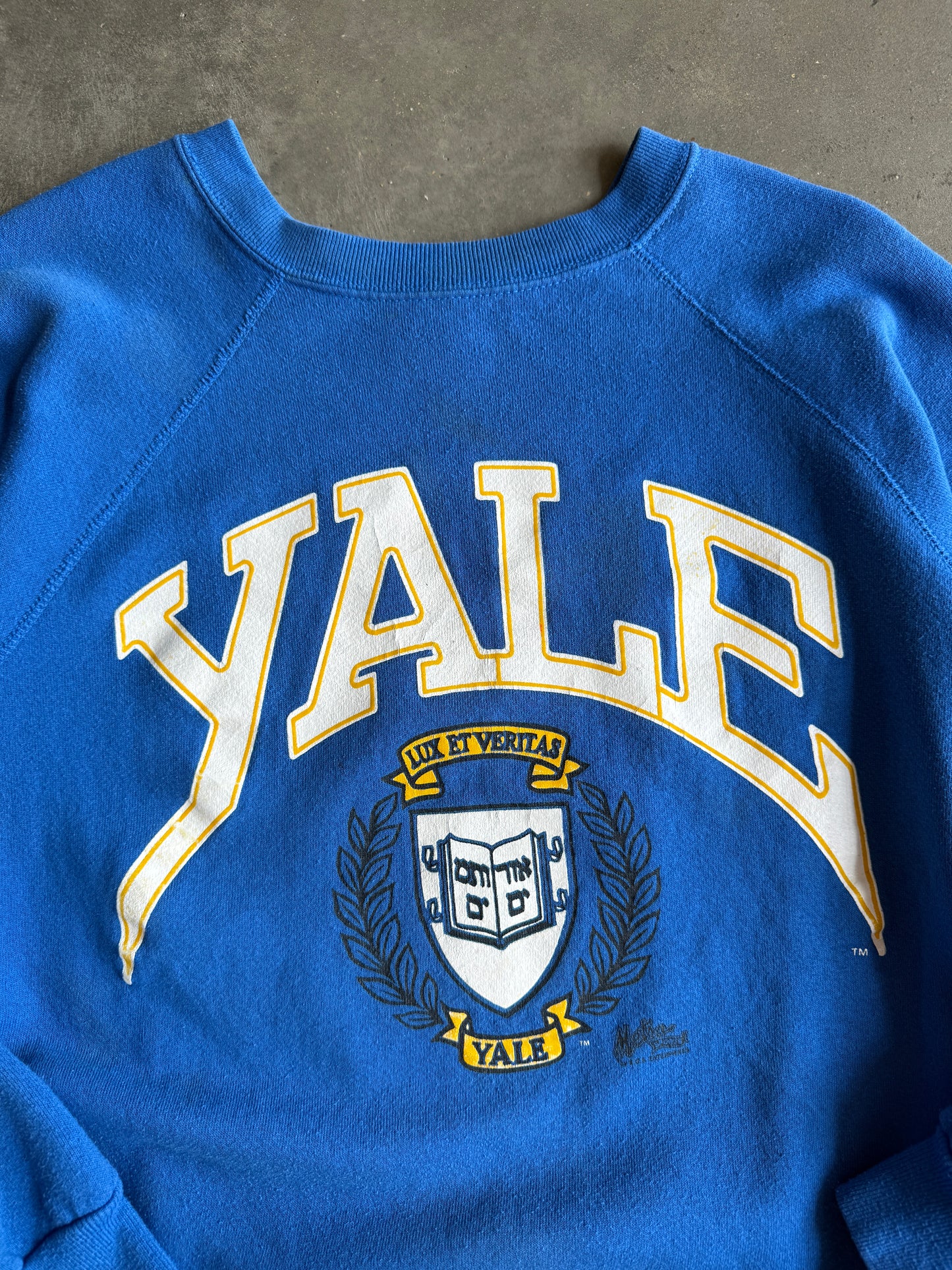 (XXL) Yale Crew