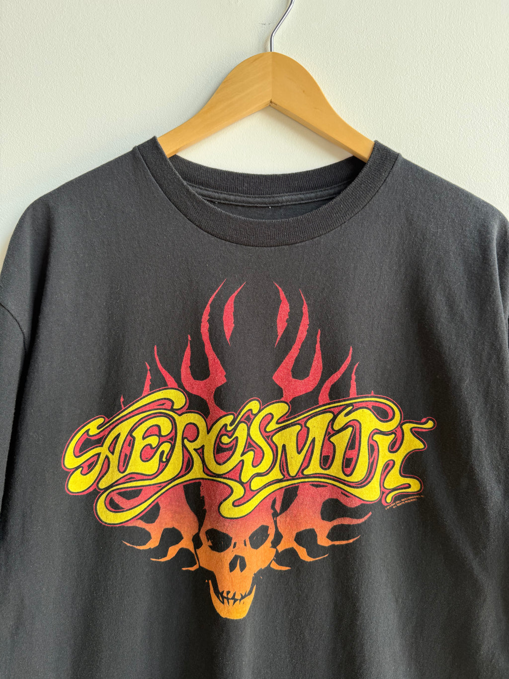 (L) Aerosmith Flame Tee
